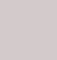 Фасад Intellect Platinum Grey